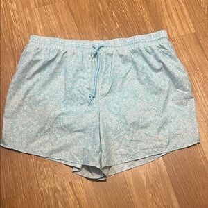 Crown & Ivy Blue and white Patterned Shorts size 2X